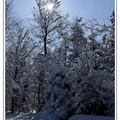 Hiver 1||<img src=_data/i/galleries/Nature/Hiver/Hiver_1-th.jpg>