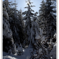 Hiver 3||<img src=_data/i/galleries/Nature/Hiver/Hiver_3-th.jpg>